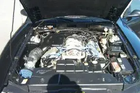 My Pictures dohc.webp My Pictures dohc.webp