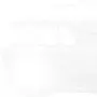 foglight2.webp