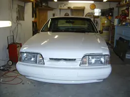 mustangfront.webp