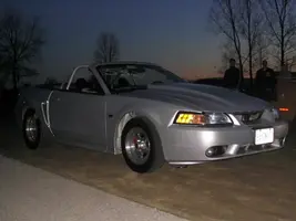 no wing pic's 027.webp
