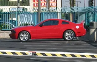 side view.webp