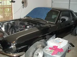 67 stang.webp
