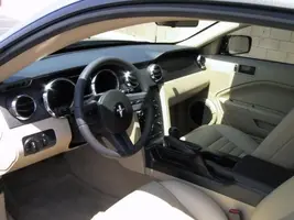 06Mustang 004.webp