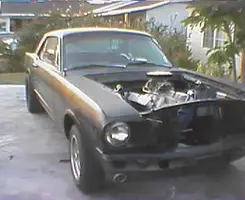 mustang 418w.webp