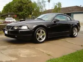 My Baby2.webp