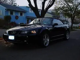 my 2002 ford mustang convertable forum pic.webp