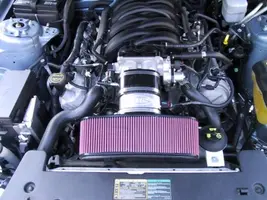 06Mustang 010.webp