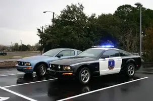 mustangcop.webp