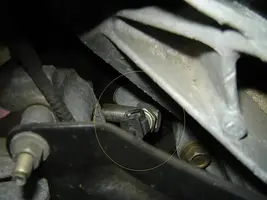 oil2.webp