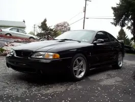 cobra.webp