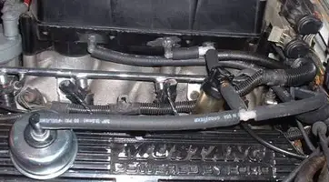 clip_image002.webp