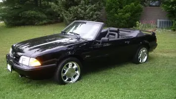 mustang 001.webp