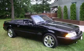 mustang 002.webp