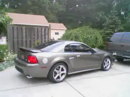 mustang 1.webp