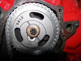100_0054.webp