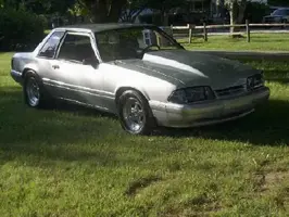 stang6.webp