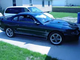 must wheels.webp