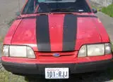 my stang 2.webp
