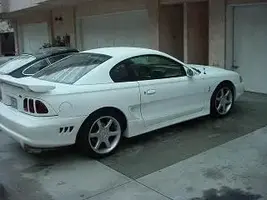 cobra rear view.webp