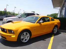 stang_scoop.webp