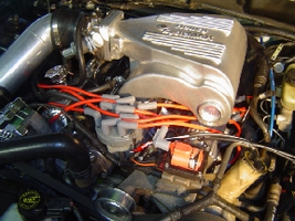 MSD plug wires small.webp