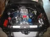 mustang_351W_2.webp