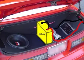 trunk.webp