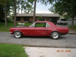 stang 2.webp