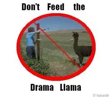 dramallama9vu.webp