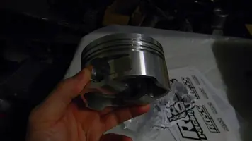 DSCN3946.webp