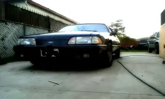stang.webp