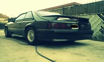 rear.webp