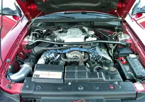 P1010102_zps1f006552.webp