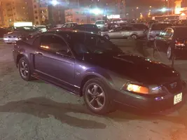 dsc01311er.webp