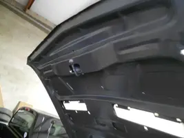 DSCN3878.webp