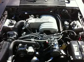 IMG_0970_zps5eb352a9.webp