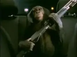 TrunkMonkey.webp