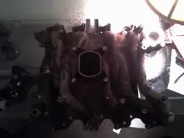 2hoec5v.webp