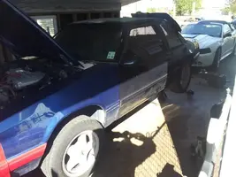 TheMustang2.webp