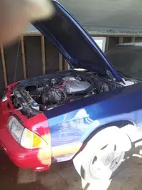TheMustang6.webp
