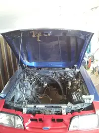 TheMustang4.webp