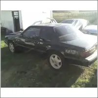 thecar1.webp