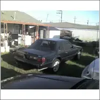 Thecar2.webp