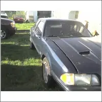thecar4.webp