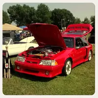 fb1338129296340.webp