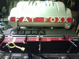 fatfoxxproject5.webp