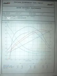 dyno-1.webp