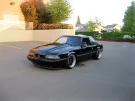 stance.webp