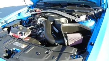 Mustang039.webp