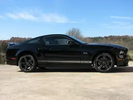 Mustang001.webp